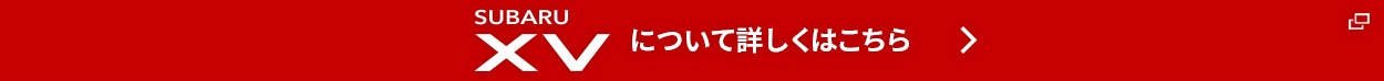 xvについてはこちら
